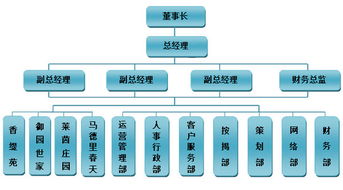 索象營(yíng)銷(xiāo)策劃公司 以專(zhuān)業(yè)咨詢策劃服務(wù)為核心的組織架構(gòu)解析